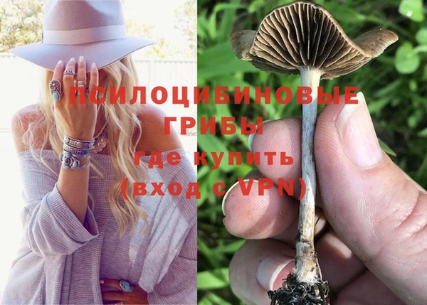 тгк Белокуриха