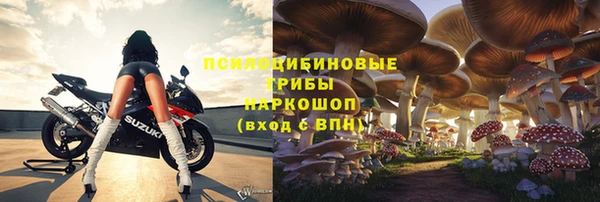 тгк Белокуриха