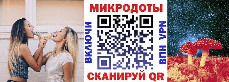наркотики  Ярославль  Псилоцибиновые грибы Psilocybine cubensis 